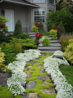 a stone path in front of a house with white flowers and greenery on either side