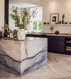 a large kitchen with marble counter tops and black cabinetry, along with potted plants