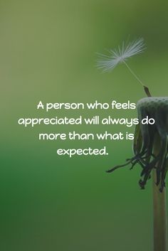 a person who feels appreciated will always do more than what is expected