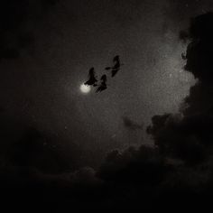 three birds flying in the night sky with clouds and moon behind them, black and white photograph