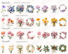 an image of flowers and their names