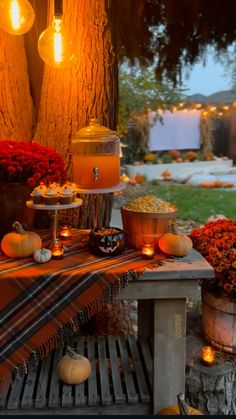 a table topped with lots of pumpkins next to a tree