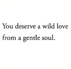 the words you deserve a wild love from a gentle soul