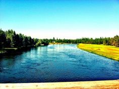 a river running through a lush green forest next to tall grass covered fields and trees