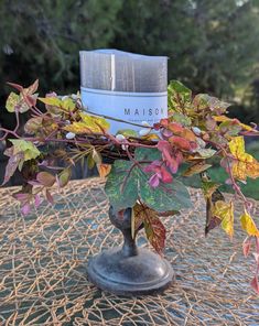 a vase filled with colorful leaves on top of a table