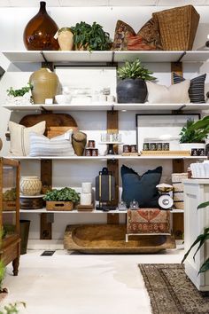 a room filled with lots of different types of plants and vases on shelving