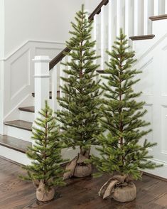 two small christmas trees in burlocks on the floor next to a stair case