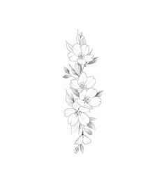 a line drawing of flowers on a white background