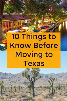 the top ten things to know before moving to texas