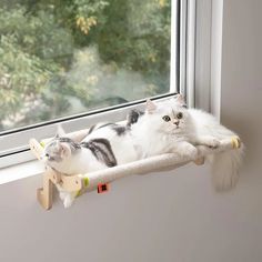 two cats laying on top of a cat tree in front of a window sill