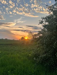 the sun is setting over an open field with tall grass and trees in the foreground