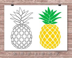 how to draw a pineapple in 3 easy steps