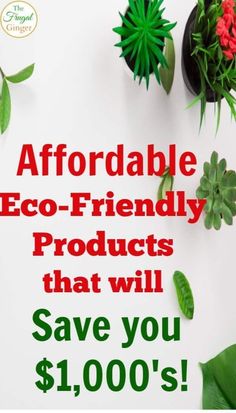 an ad for eco - friendly products that will save you $ 1, 000's