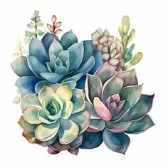 a painting of succulents and leaves on a white background