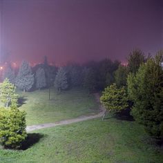 a foggy night in the park with trees and grass