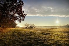 the sun shines brightly over an open field