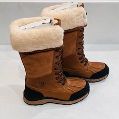 New Without Box Ugg Women’s Adirondack Tall Iii Snow Boot Size 5 Chestnut Color Ugg Women, Shoes Ugg, Chestnut Color, Snow Boot, Women Boots, Womens Uggs, Winter Rain, Ugg Shoes, Snow Boots