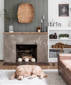 a dog laying on the floor in front of a fireplace with a wicker basket above it