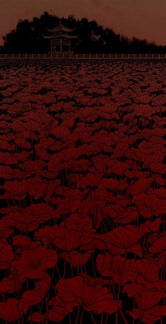 a large field full of red flowers under a dark sky