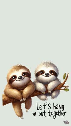 two sloths sitting on a branch with the words let's hang out together