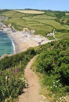 a path leading down to the beach next to some water and grass covered hills with flowers growing on them