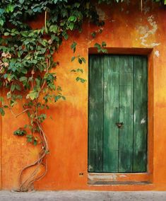 an orange building with green doors and vines growing on it