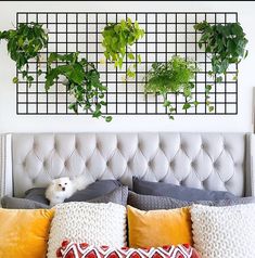 a bed topped with lots of pillows next to a wall mounted planter filled with green plants