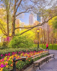 a park with benches and flowers in the foreground