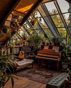 a room filled with lots of plants next to a window covered in bookshelves