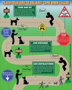 a road map with instructions to help you know how to use it