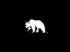 a bear that is standing in the dark