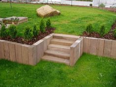 a garden with wooden steps and green grass