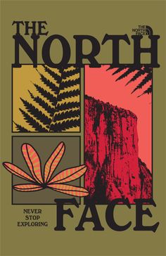 the north face poster with mountains and trees