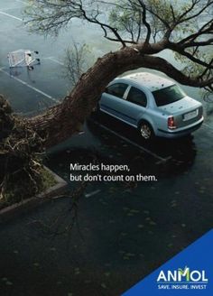 a car that is parked under a tree