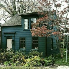 a blue house with a tree in front of it and a street sign on the corner