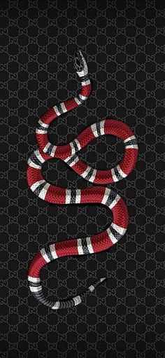 a red and white snake on a black background