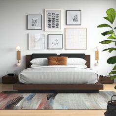 a bed sitting in a bedroom on top of a wooden floor next to a potted plant