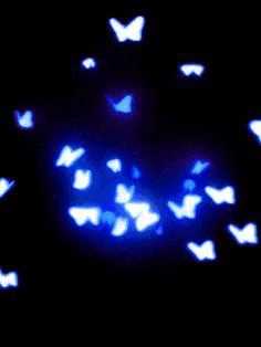 a bunch of butterflies flying around in the night sky with blue and white lights on them