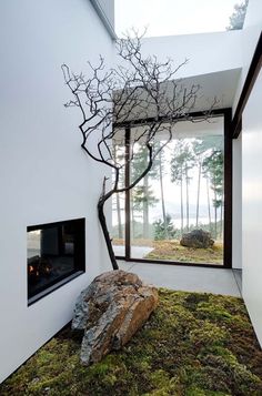 the interior of a house with moss growing on the ground and trees in the window