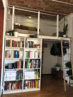 a loft bed with bookshelves and ladder