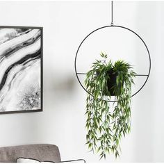 a living room with a plant hanging from the ceiling next to a chair and painting on the wall