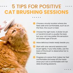 a cat brushing its teeth with a brush in it's mouth and the words 5 tips for positive cat brushing session written below