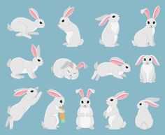 a bunch of white rabbits sitting in different positions on a blue background, with one rabbit standing up and the other bunny laying down