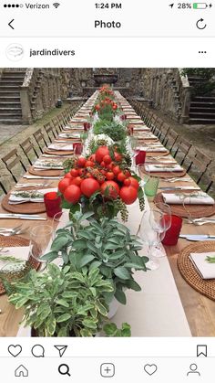 a long table is set with tomatoes and greenery