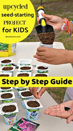 seed starting project for kids step by step guide