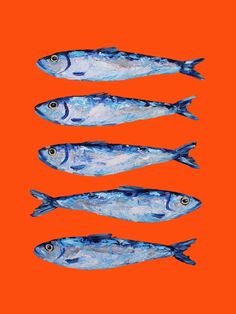 four blue fish are lined up in a row on an orange background with the words,