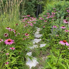 a stone path surrounded by tall grass and wildflowers in the woods, with pink flowers on either side