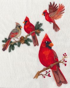 three red birds sitting on top of a tree branch with pine cones and berries in their beaks