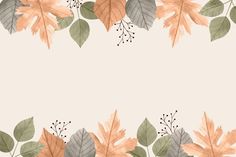 an image of autumn leaves on a white background