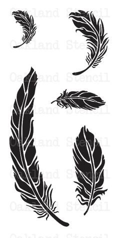 three black and white feathers with the letter c on it's left hand side